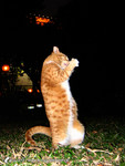 ���� 1_050106_26