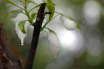 �j�ͪw�w_060430_14s