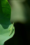 060701_49s