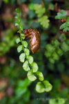 ��_080406_007s