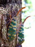 �����ά�_�s����_040926_15
