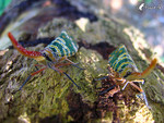 �����ά�_�s����_040926_17