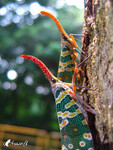 �����ά�_�s����_040926_19