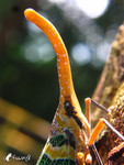 �����ά�_�s����_040926_22