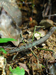 �˸`��_030706_0033