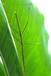 �˸`��_040530_076
