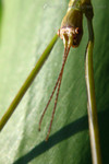 �˸`��_040530_079