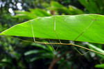 �˸`��_040530_088