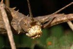 �˸`��_050805_28