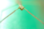 �˸`��_060430_10s