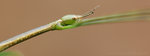 �˸`��_060430_11sb