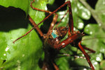 �˸`�Υ��_060610ns_04s
