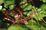 �˸`�Υ��_060610ns_05s