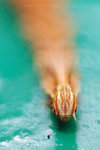 ����_060430_05s