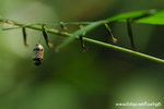�H�͸���õ_061030s_02
