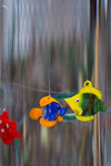 �n�X_050325_57
