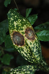 050211_100