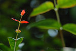 �n�X 05042930_56
