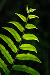 060624_53s