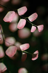 060624_60s