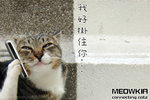 060513_27missyou2
