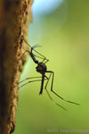 071104_Nature_01