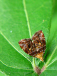 �۸���_040512_40