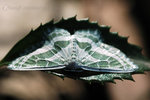 ��_050306_52