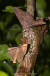 ��_060610ns_22s