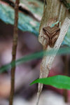 ��_080406_005s