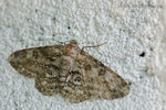 080701_56s