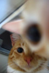 051108_05