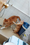 �S�O�A��_051114_01s