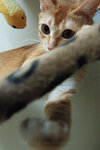 070928_FL_19