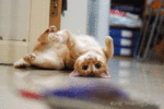 080607_looklook