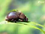 ���B���ά�_040114_3542