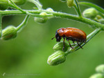 ����_040502_0432