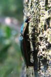 �n�Y�ά�_040523_009