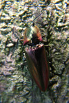 �n�Y�ά�_040523_010