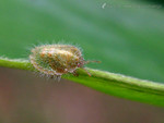 ����_040530_104