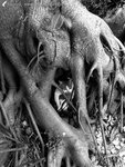 �x_040223_9486
