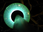 EYE_040214_8468
