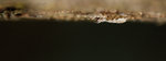 ��_060430_04s
