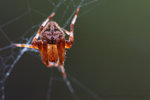 ��_060430_12s
