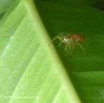 ��_080406_031s