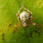 ��_080406_032s