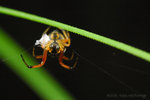 ��_080406_034s