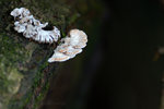 ����?_050919_05