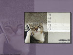 meowkia 1024x768
