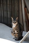 DSC_1393